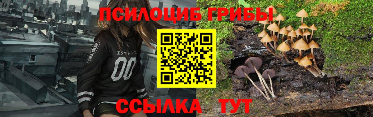 Псилоцибиновые грибы прущие грибы  Вход с VPN  Галлюциногенные грибы ЛСД  Ялуторовск 