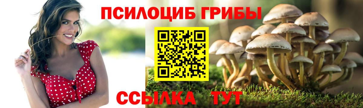 Галлюциногенные грибы Magic Shrooms Ялуторовск